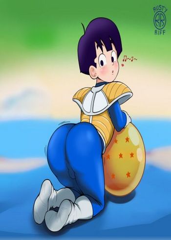 Taking Care Of The Dragon Balls